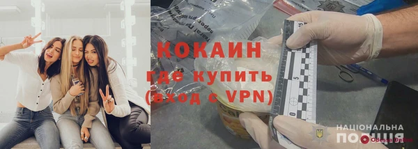 стаф Верея
