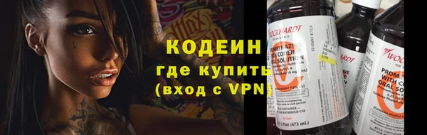стаф Верея
