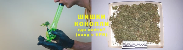 стаф Верея