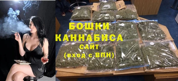 стаф Верея