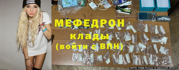 стаф Верея