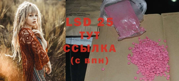 стаф Верея
