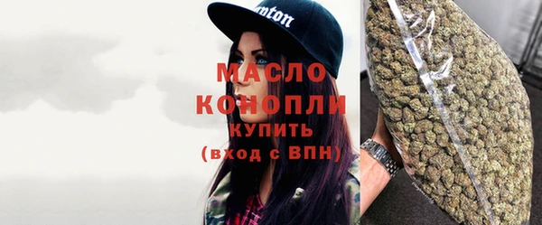 стаф Верея