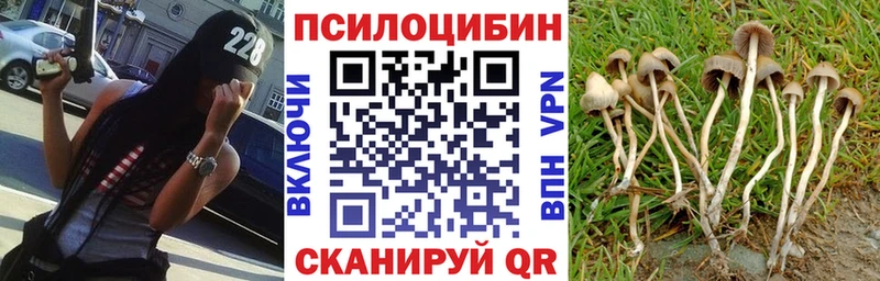 Галлюциногенные грибы Psilocybine cubensis  кракен tor  Первомайск 